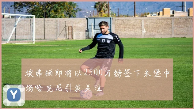 埃弗顿即将以2500万镑签下米堡中场哈克尼引发关注