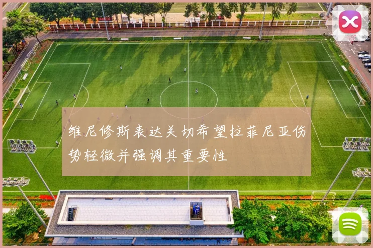 维尼修斯表达关切希望拉菲尼亚伤势轻微并强调其重要性